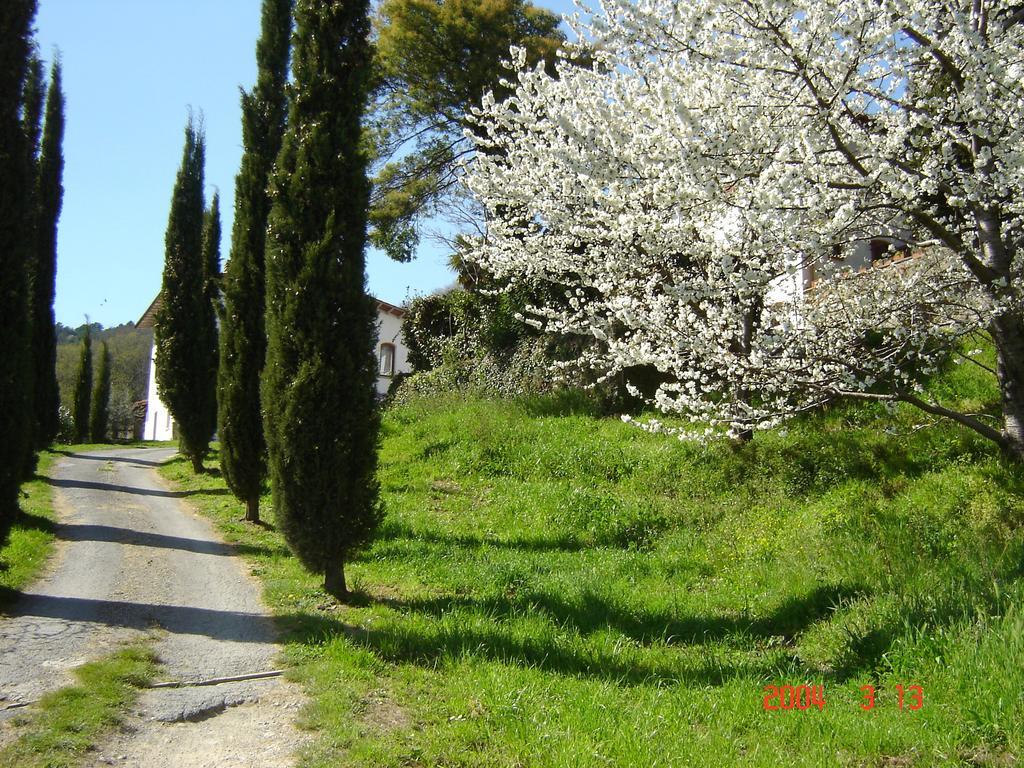 Podere"Sulle Soglie Del Bosco" Appartament And Rooms Pescia Exteriör bild