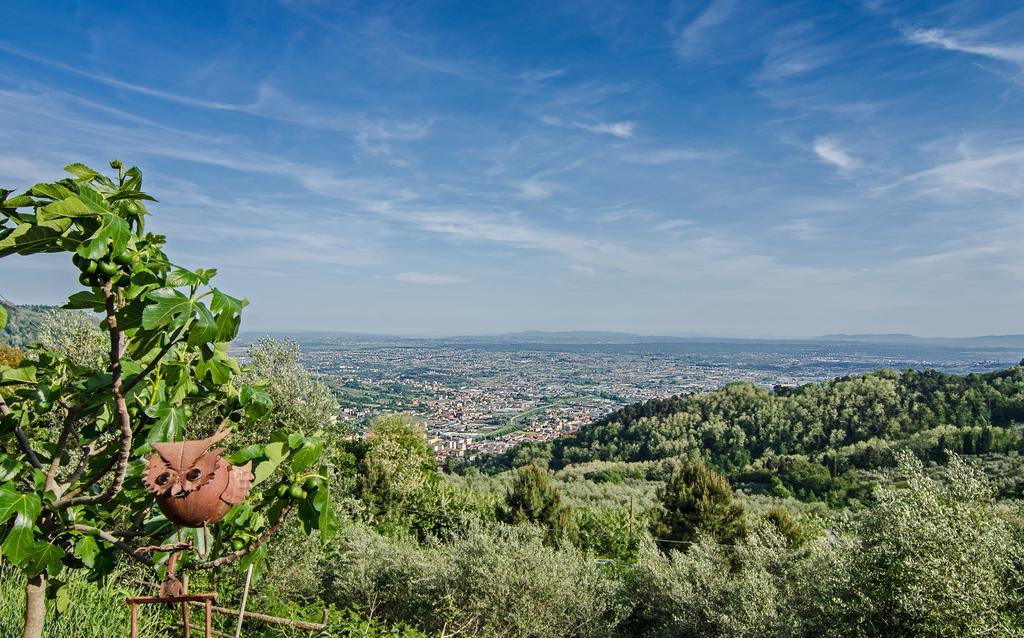 Podere"Sulle Soglie Del Bosco" Appartament And Rooms Pescia Exteriör bild