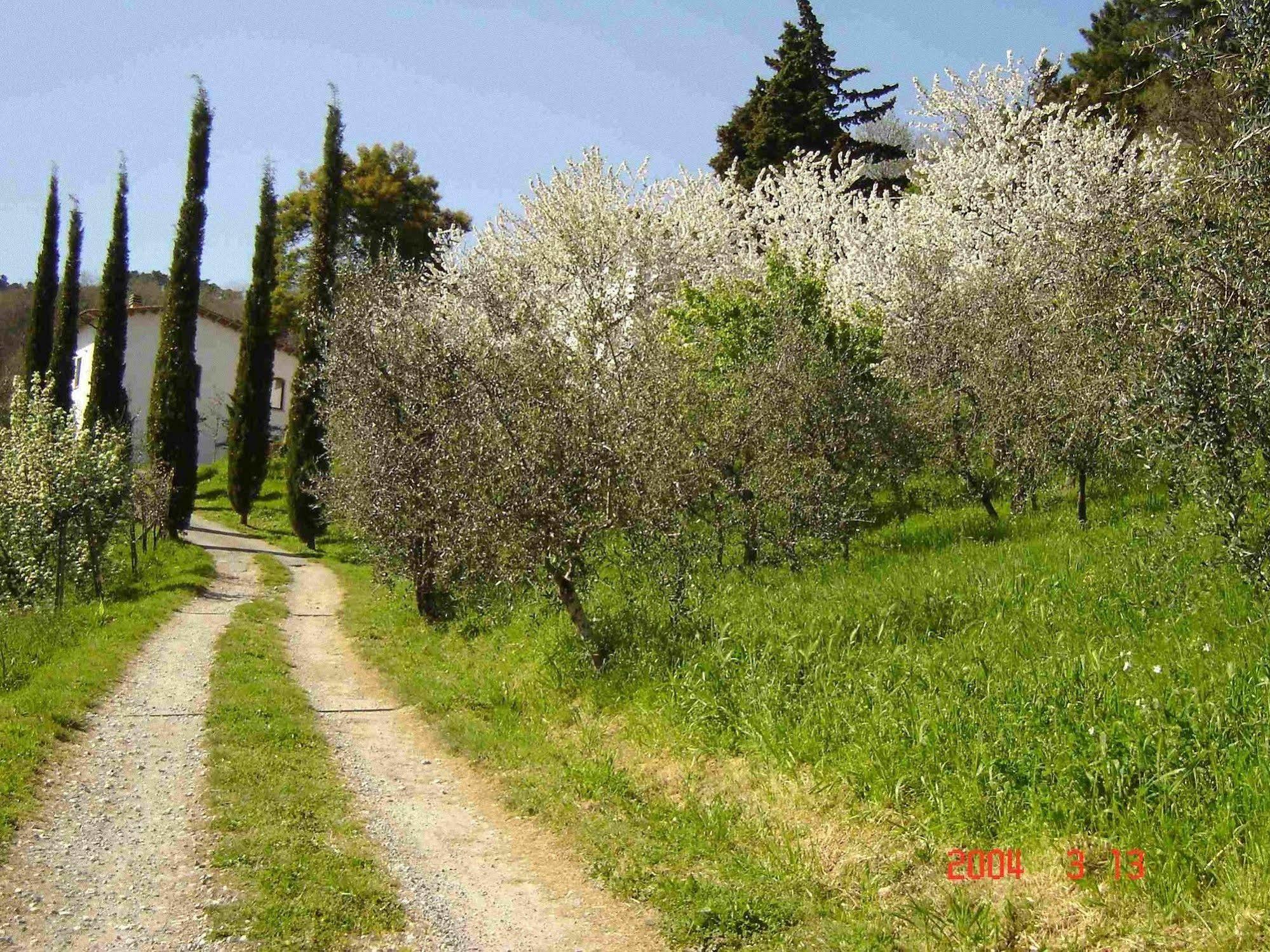 Podere"Sulle Soglie Del Bosco" Appartament And Rooms Pescia Exteriör bild